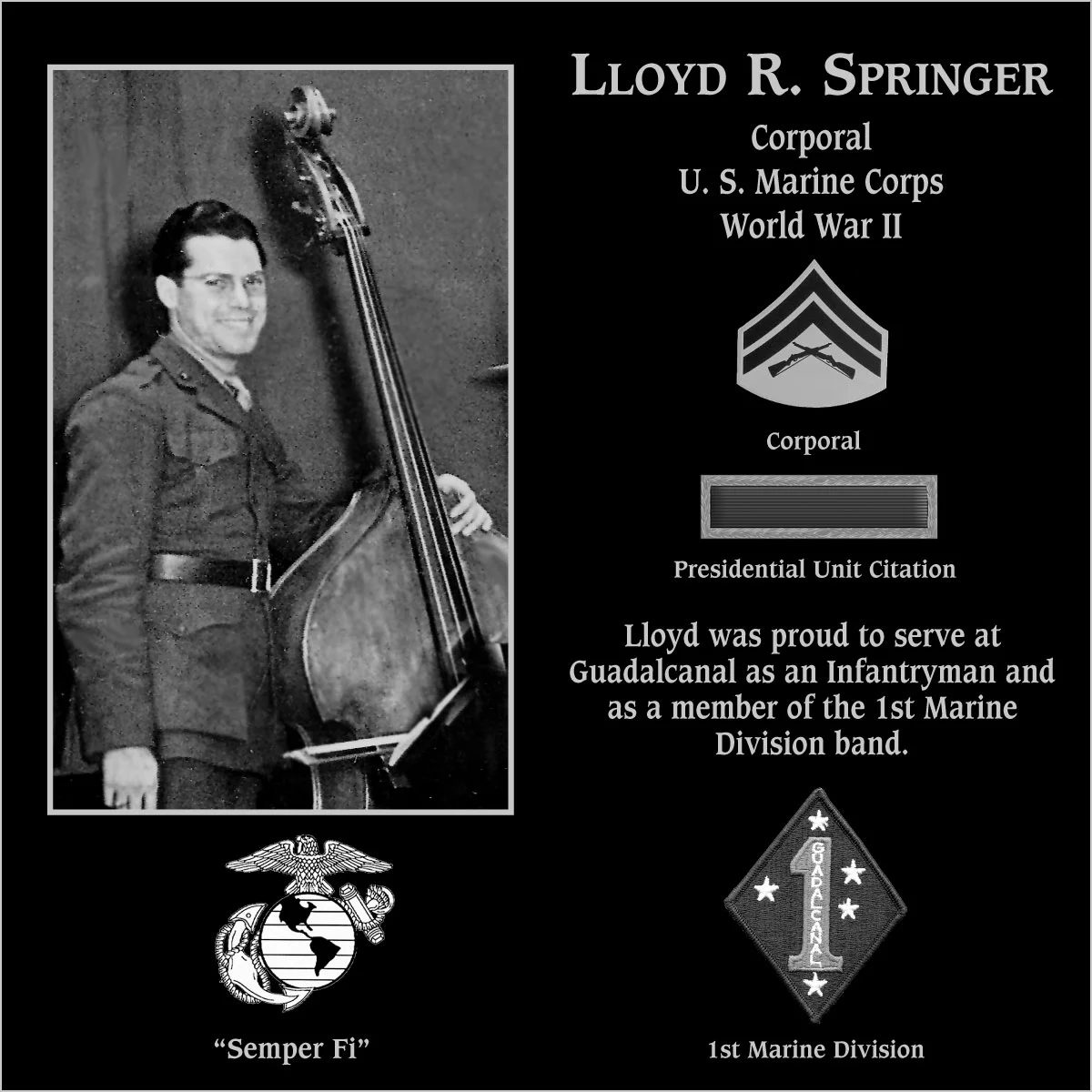 Lloyd Ray Springer