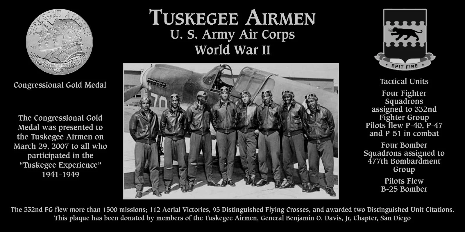 Tuskegee Airmen