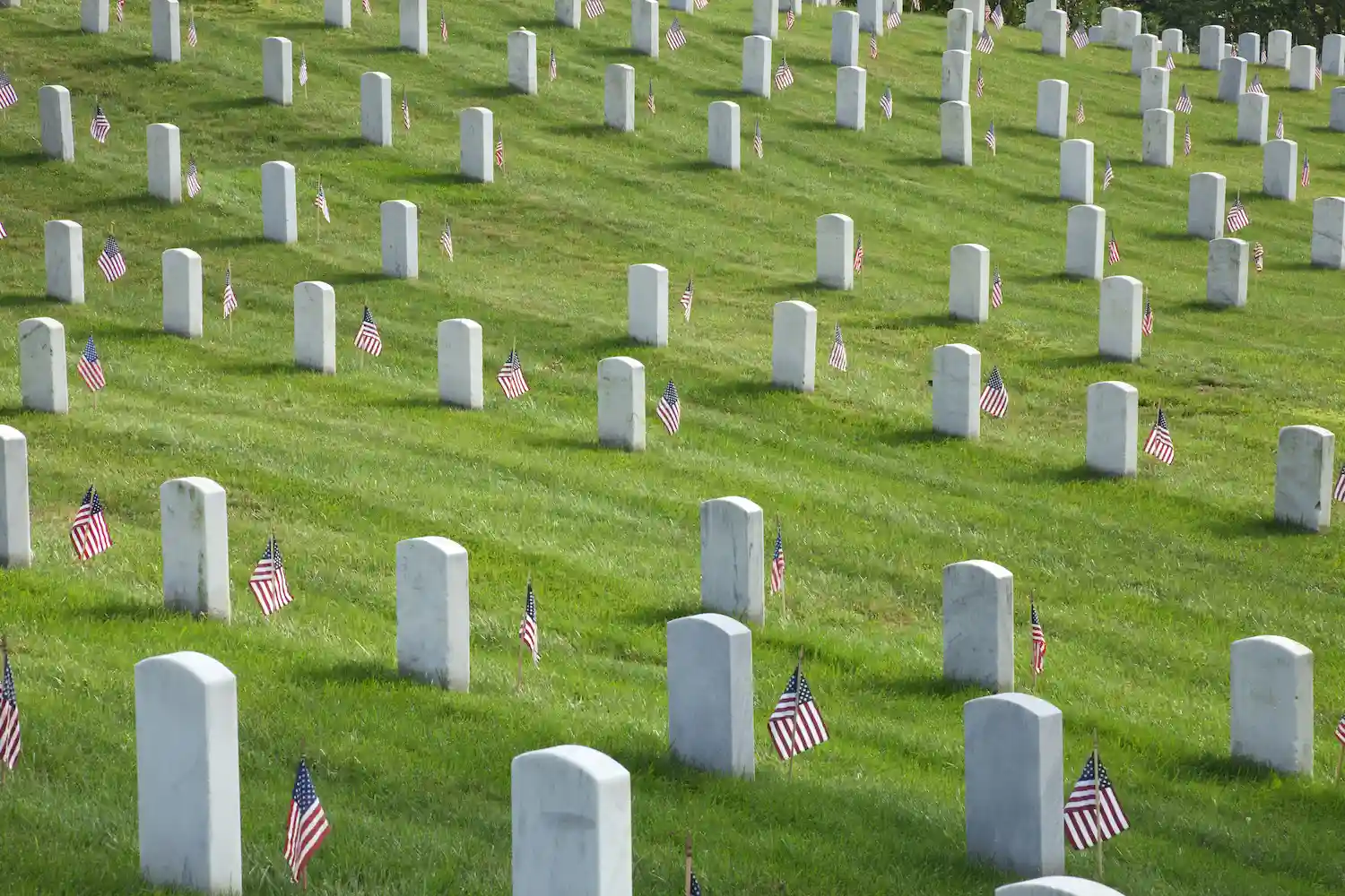 Flags on Graves For Memorial Day